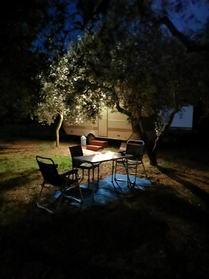 Umna & Room PUY Rom bilde